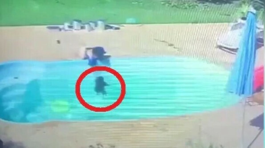 VIDEO: Chlapec (3) je ospevovaným hrdinom. Z bazéna vytiahol topiaceho sa kamaráta