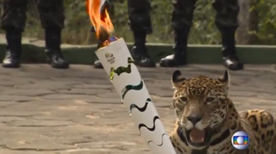 Brazílčania zastrelili jaguára, maskota olympijských hier