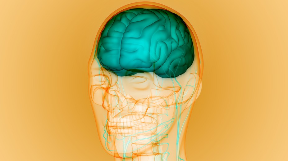 Ako súvisí Parkinsonova a Alzheimerova choroba s rodným jazykom? To zisťujú vedci