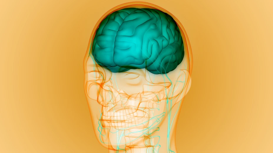 Ako súvisí Parkinsonova a Alzheimerova choroba s rodným jazykom? To zisťujú vedci