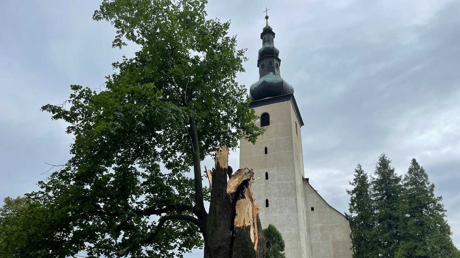 Najkrajší strom Veľkej Fatry - 460-ročnú lipu - zničila víchrica