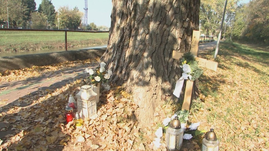 Tragický prípad, kedy zabil konár chlapca z Nitry, je uzatvorený. Zodpovednosť nesú vodohospodári