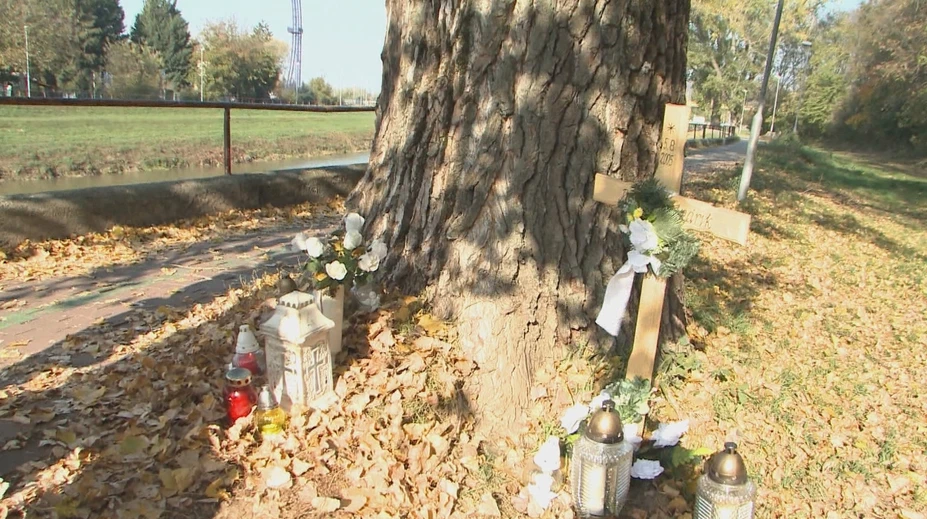 Tragický prípad, kedy zabil konár chlapca z Nitry, je uzatvorený. Zodpovednosť nesú vodohospodári