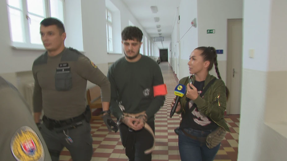 Priznal sa ku kupliarstvu aj k držbe detskej pornografie, vyviazol s podmienkou. Bežná prax, reaguje odborník