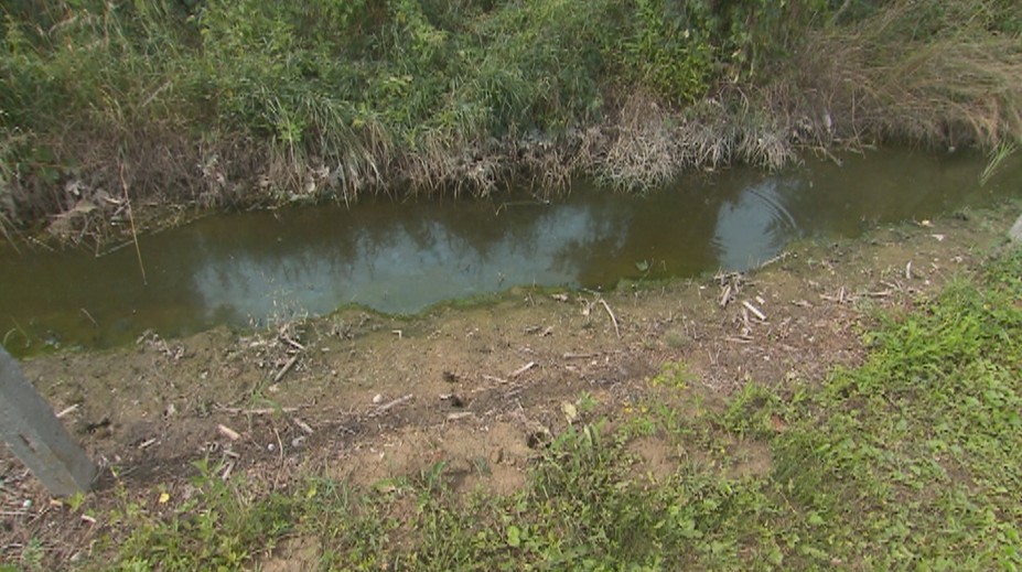 Počas dažďa prežívajú peklo, neznesiteľný smrad im strpčuje život už tri roky