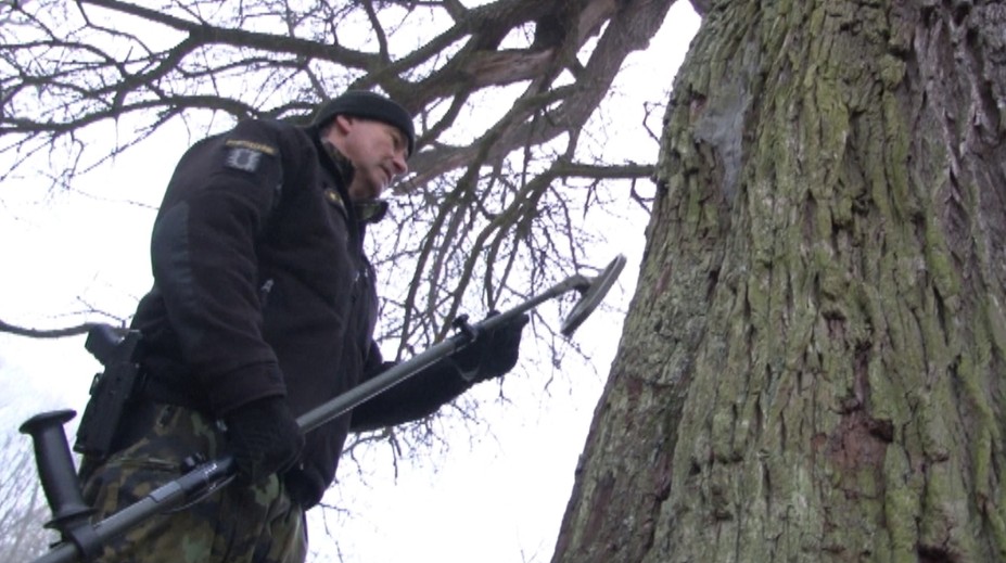 Najkrajšie stromy majú v Bošáci, jeden z nich skrýva tajomstvo opradené legendou