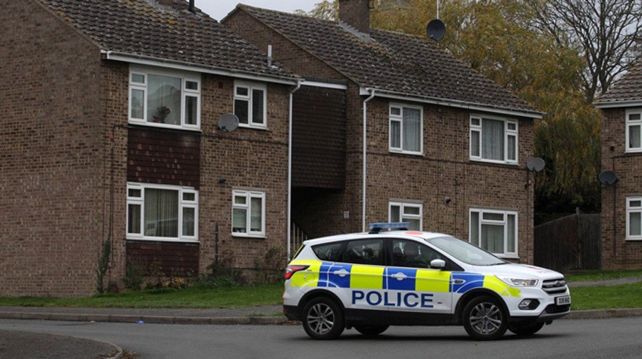 Novorodenca dohrýzli dva bojové psi. Po mesiaci prehral boj o život