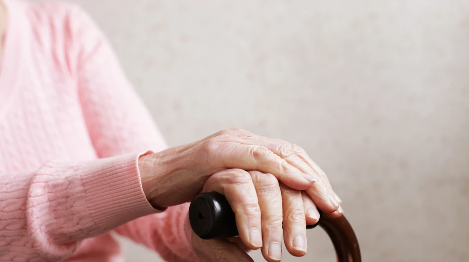 Únos ženy (88) v Rakúsku bol planý poplach. Celá udalosť vraj súvisí s rodinnými nezhodami