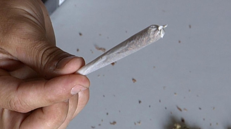 Žitnaňská pripravuje kontroverznú zmenu. Za marihuanu by sa nemuselo končiť rovno v base