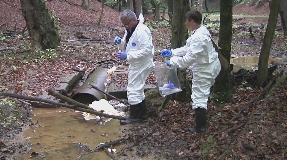 V tele mláďaťa jeleňa vo zvernici pri Strážskom našli obrovské množstvo chemikálií