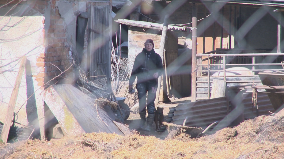 Chová prasce a mäso predáva bez povolenia. Ignoruje úrady a pokuty neplatí