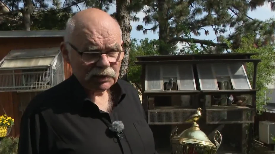 Tvrdí, že chovateľstvo je vysoko návykové a skvelá psychohygiena. Peter Vačok sa chovu holubov venuje celý život