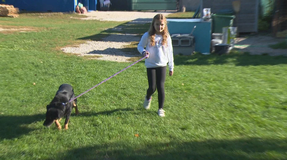 Nemohli uveriť tomu, čo priniesla. Desaťročná školáčka sa zriekla narodeninového darčeka, aby pomohla útulku
