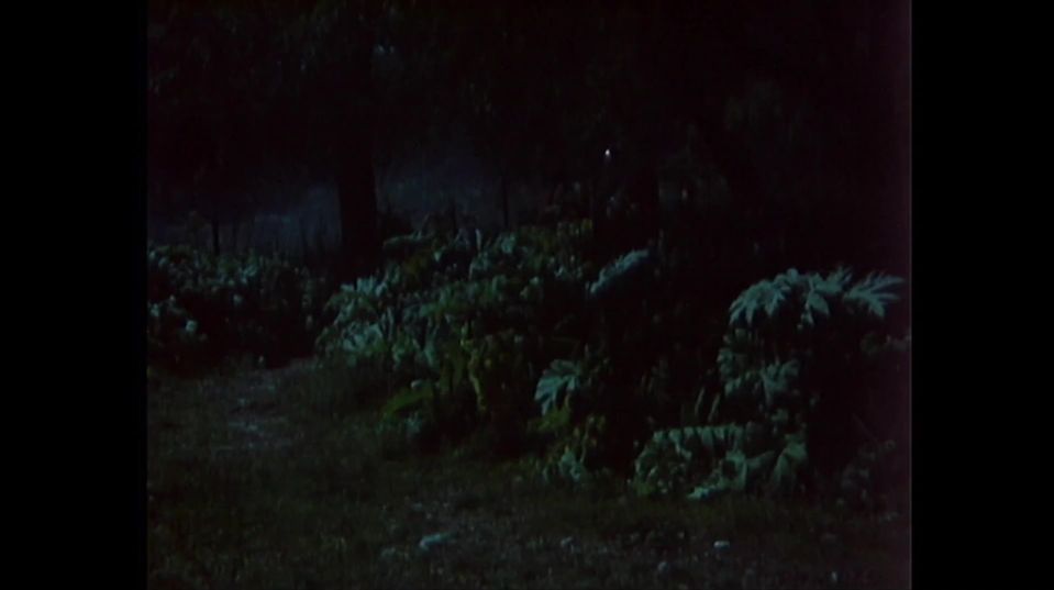 6. epizóda - Beštia – 1948