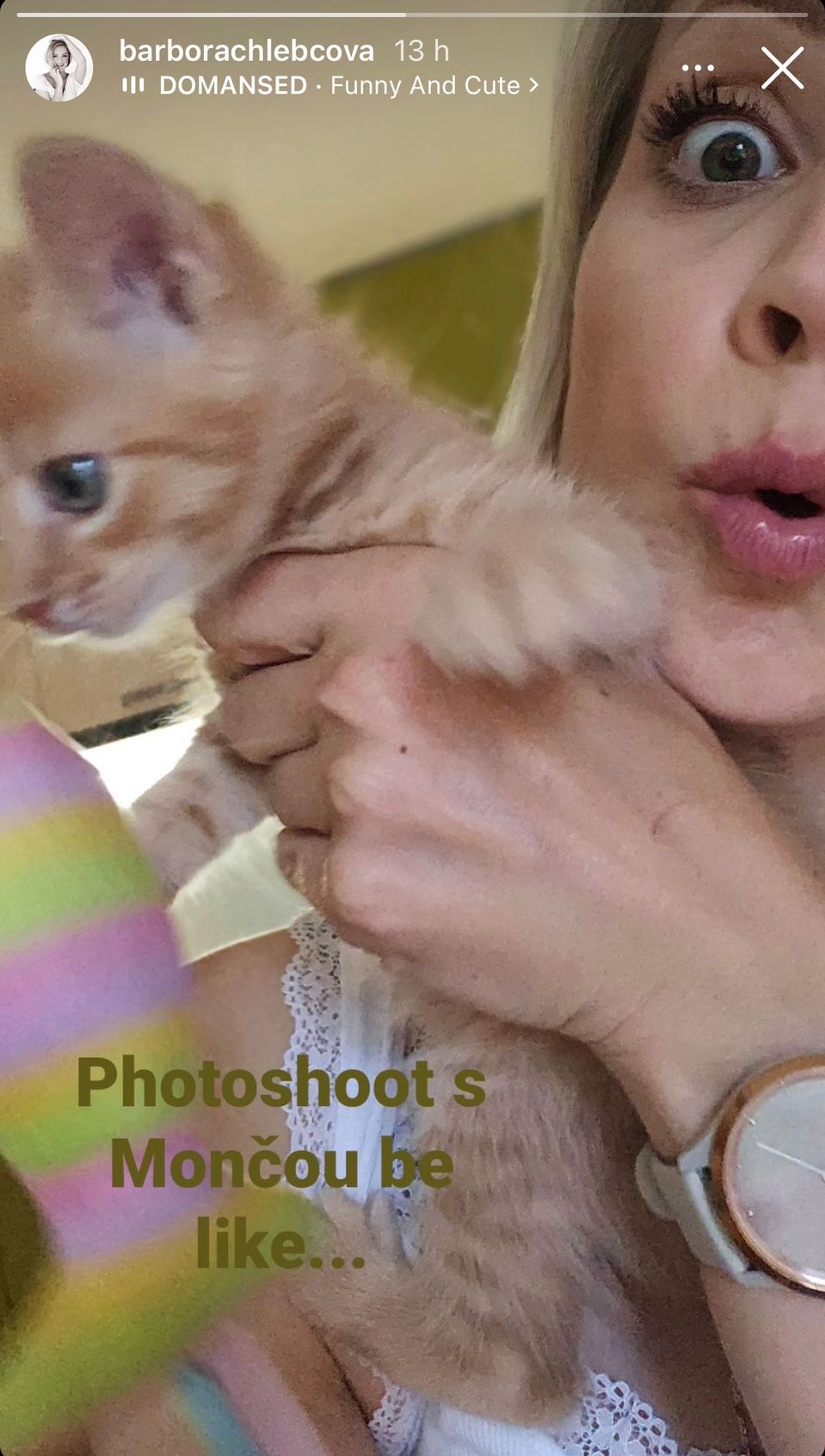 Barbora Chlebcová má doma novú lásku