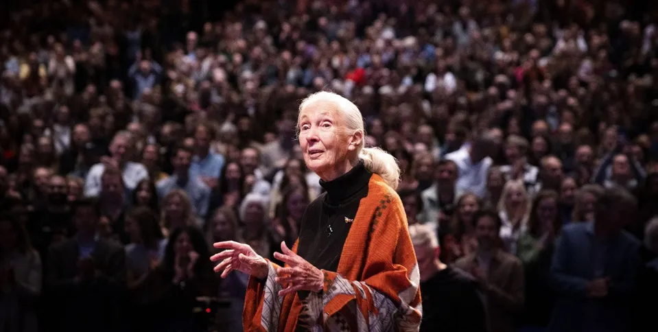 Jane Goodall