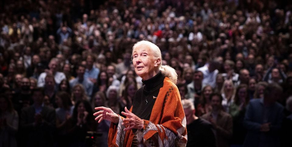 Jane Goodall