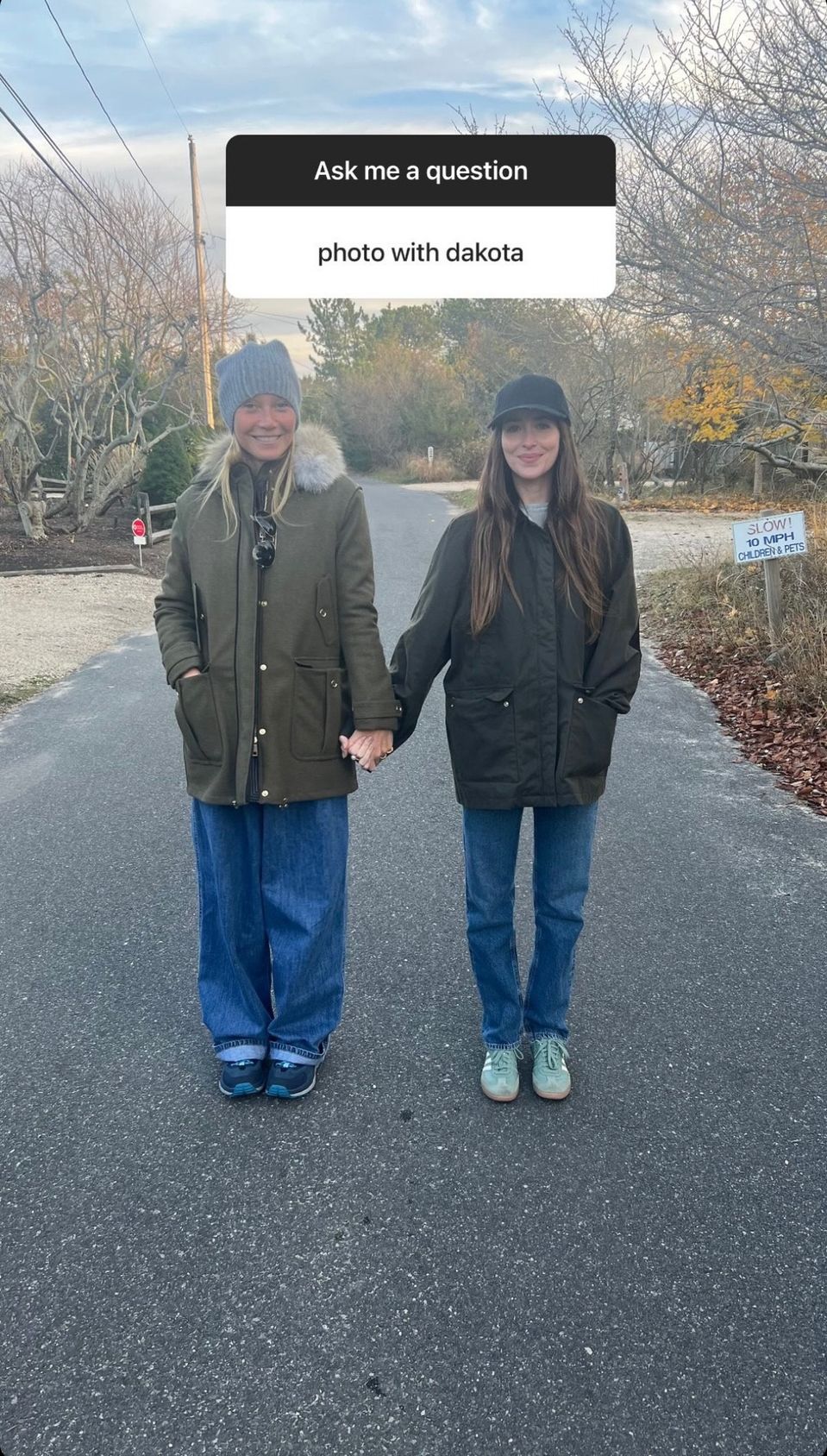 Gwyneth Paltrow a Dakota Johnson