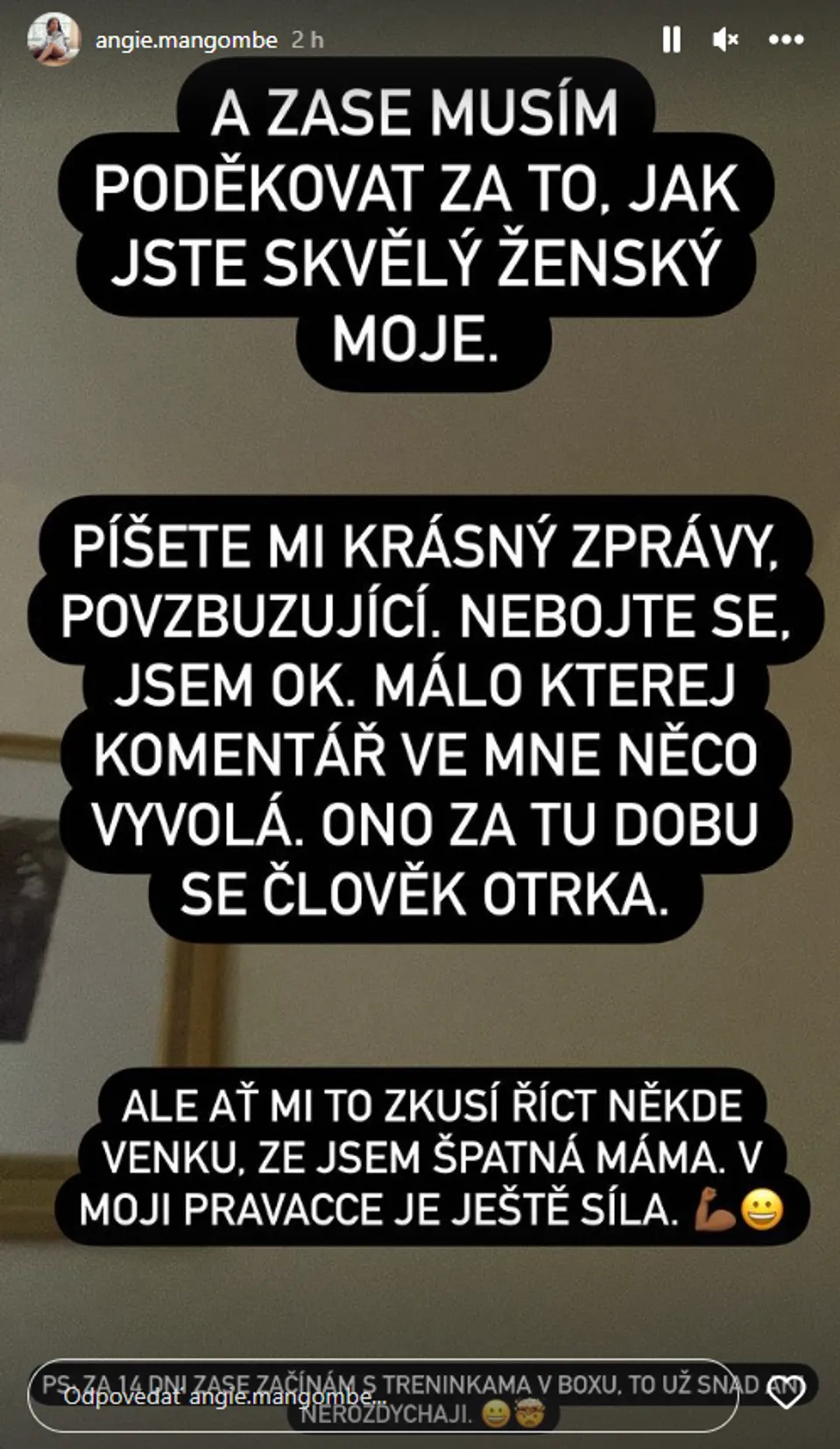 Angie si z kritických komentárov nič nerobí.