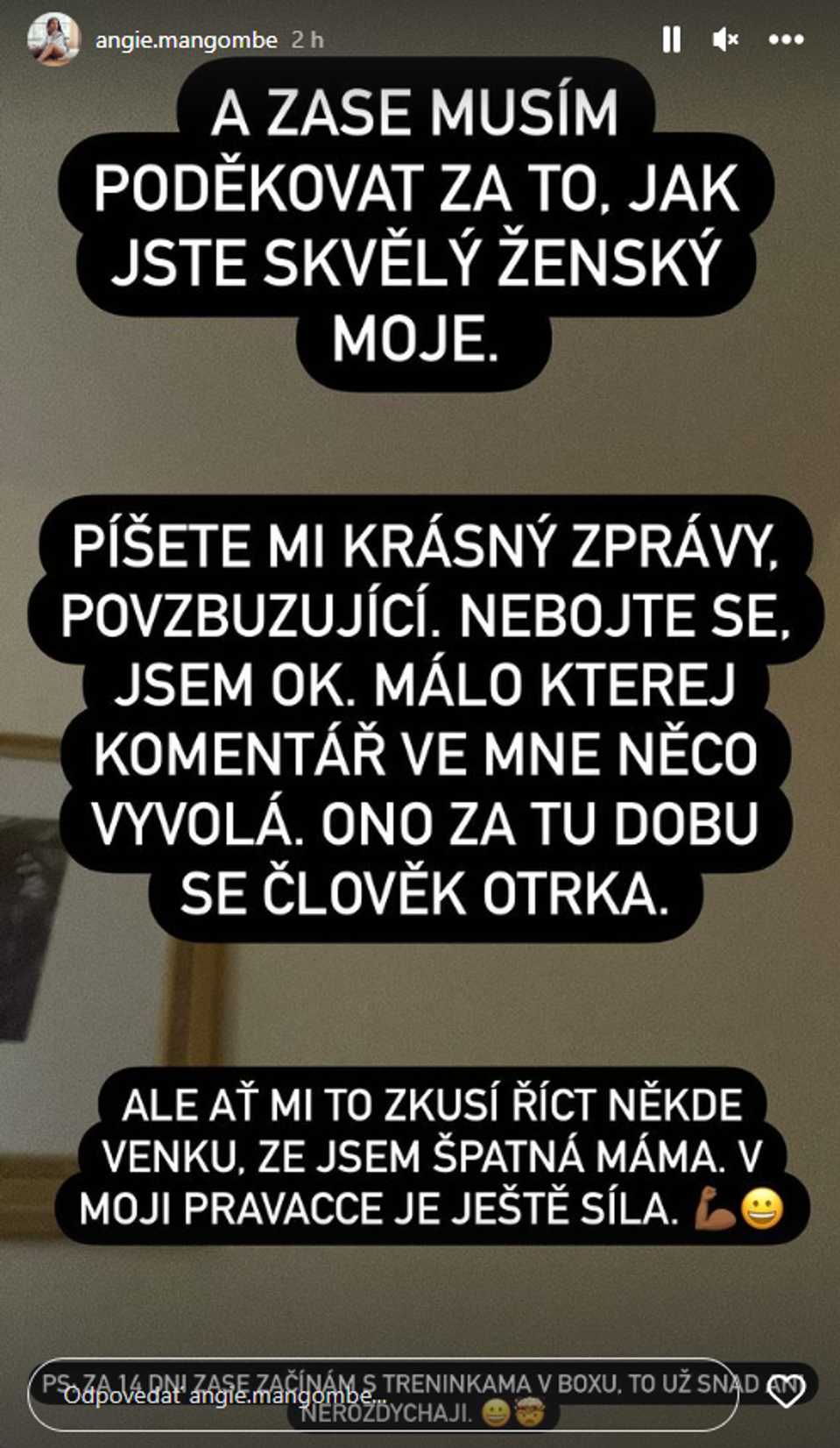 Angie si z kritických komentárov nič nerobí.