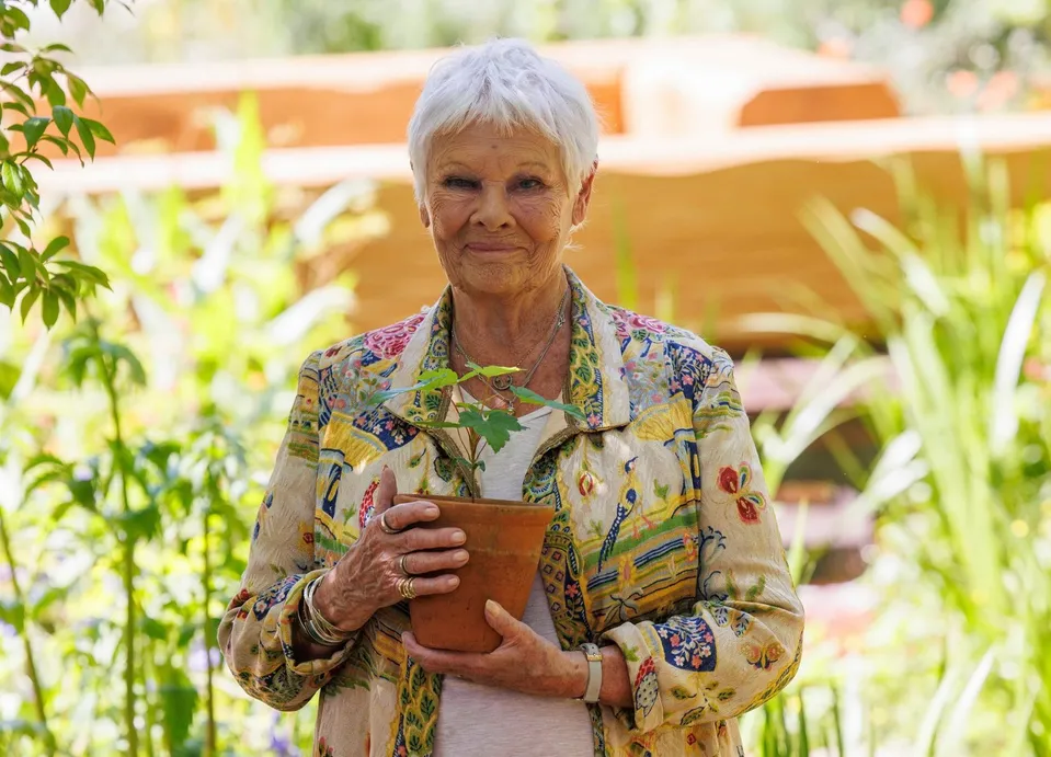 Judi Dench