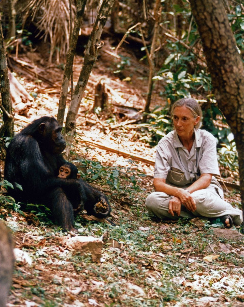 Jane Goodall