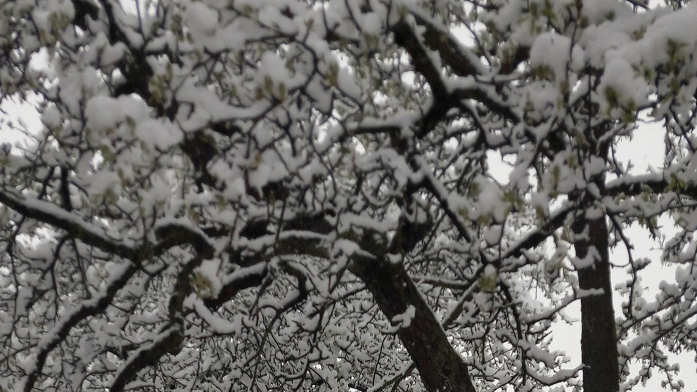 Sneh padal dnes ráno aj v Podhradí.