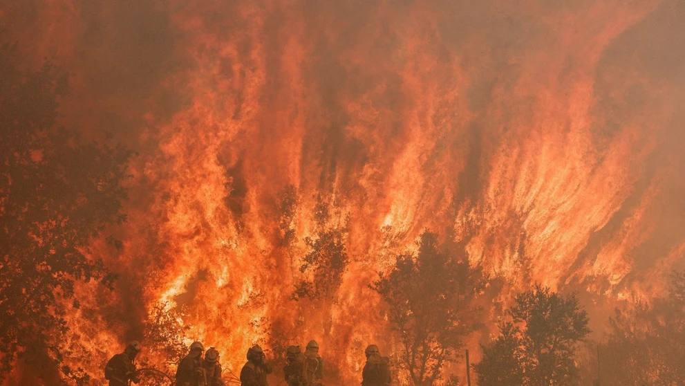 Hasiči bojujú s lesným požiarom pri meste Zamora na severe Španielska.