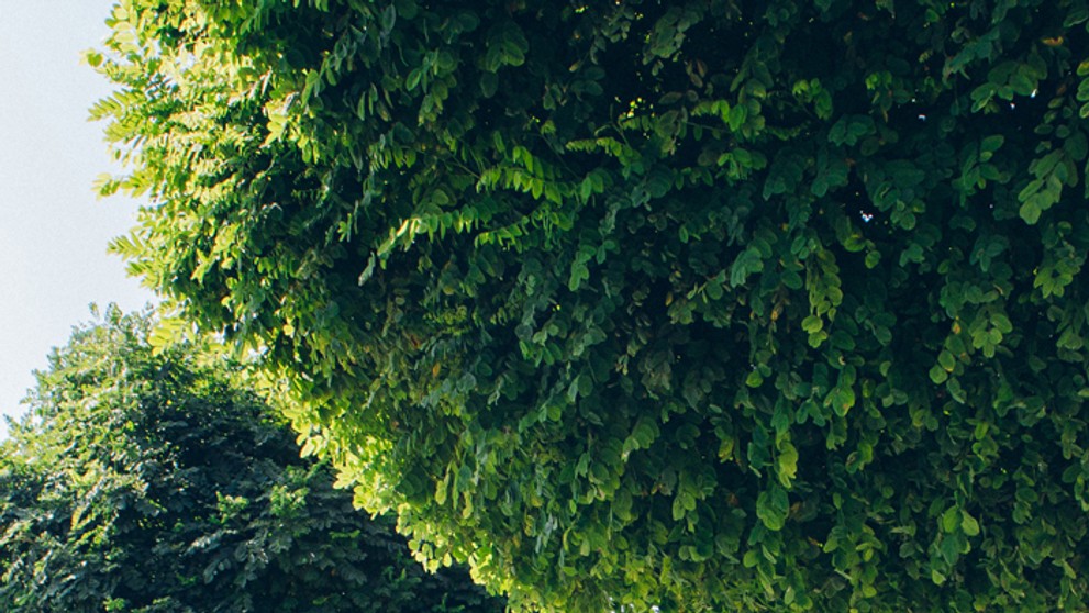 Víťazné dielo v kategórii Exteriér - Námestie Centrum, Sídlisko III