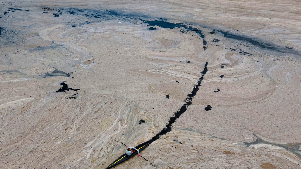 Sliz v Marmarskom mori.