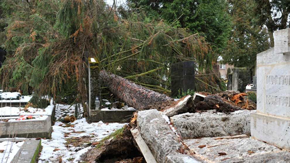 Poškodený hrob po páde stromu na Národnom cintoríne v Martine.