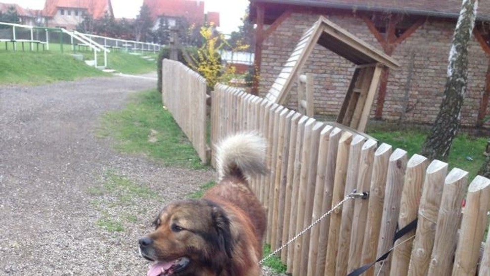 Bruno sa stratil v Limbachu.