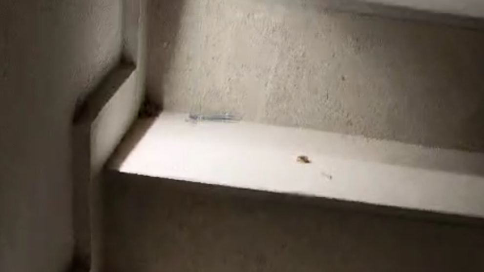 Útroby hotela