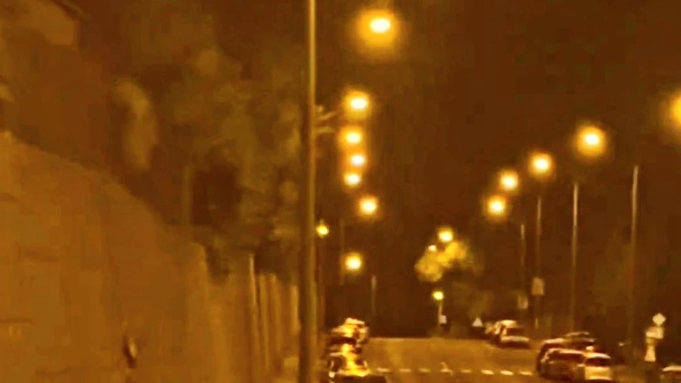 Medveď v Sásovej. 