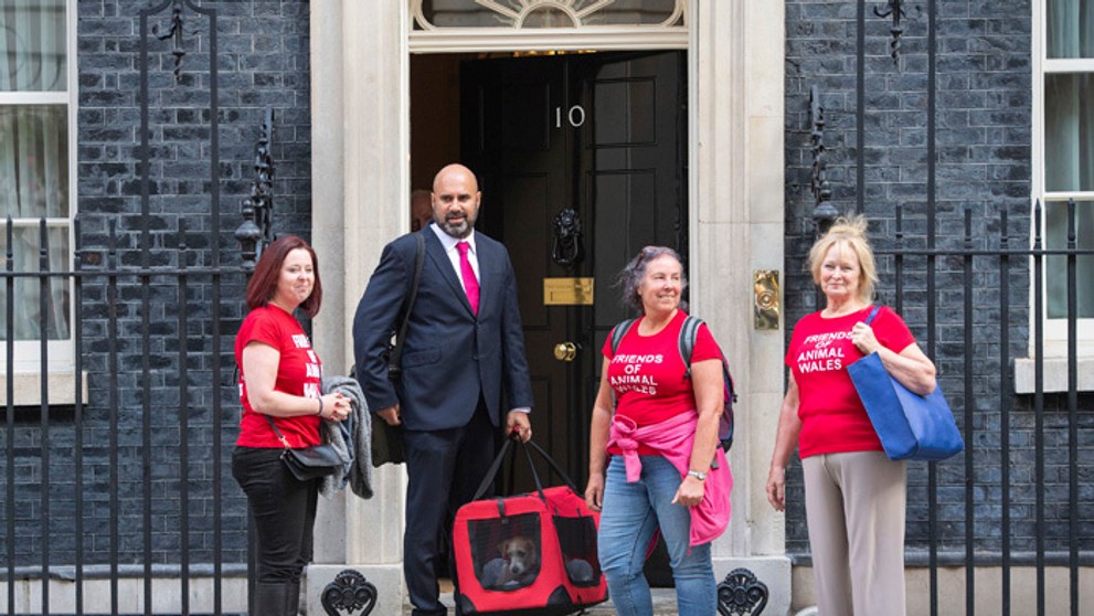 Nový obyvateľ na Downing Street 10.
