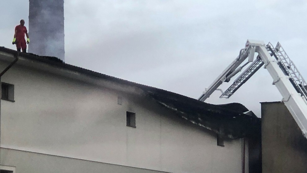 kocis mast.jpg_bez_watermarku_1.jpg