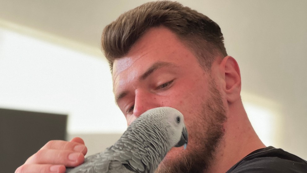 Papagáj Bobo. 