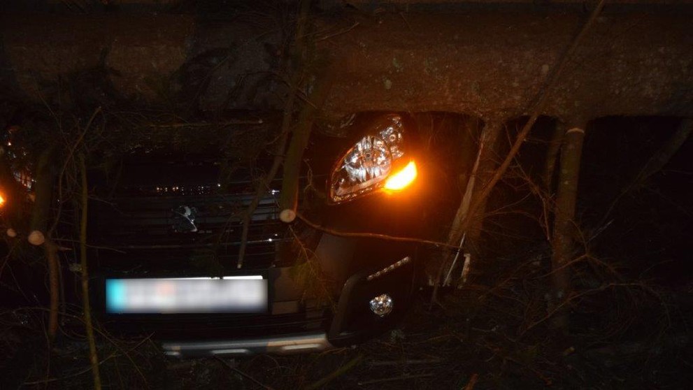 Andrea Verešová na Česko-Slovenskom plese