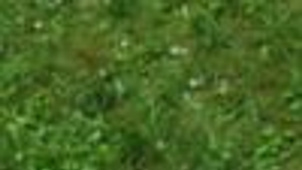 Krúpy, ktoré na severe padali v sobotu