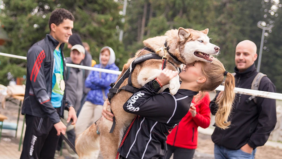 Trať Beh Tatry si užijú aj štvornohí miláčikovia.