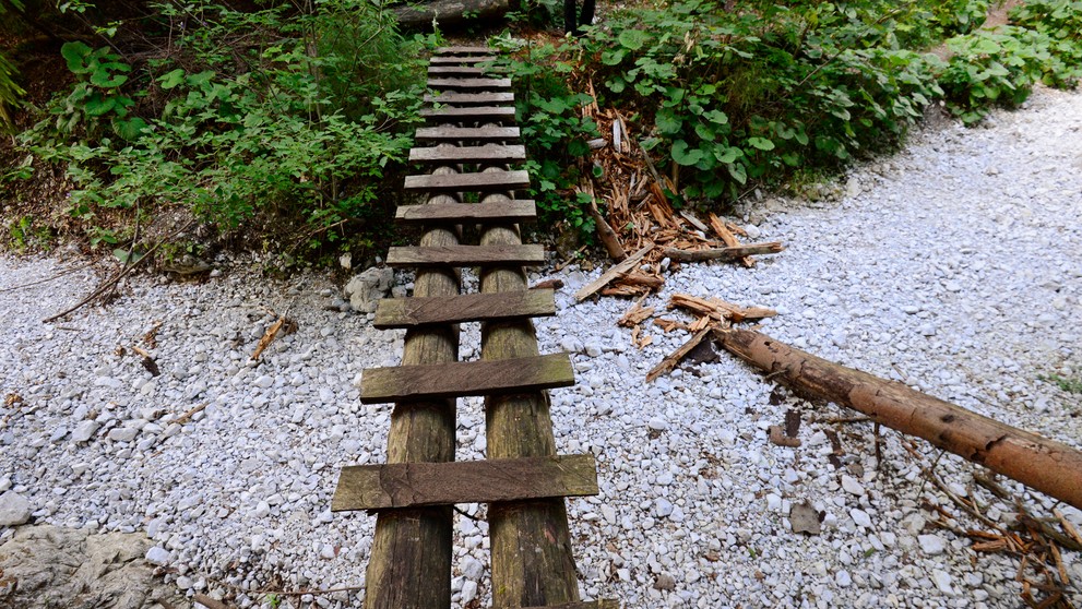 Vyschnuté koryto potoka rokliny Piecky (14.7.2022)