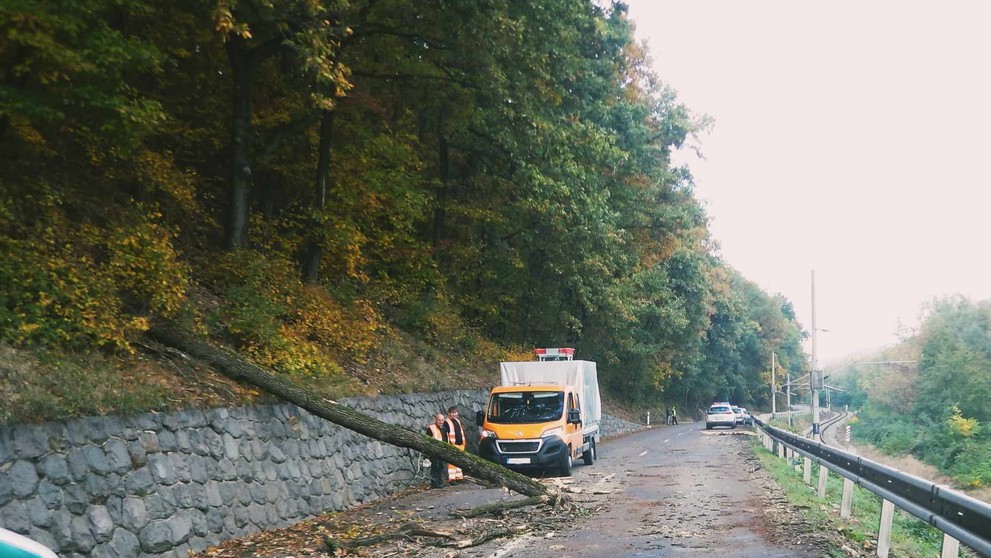 Šťastie v nešťastí