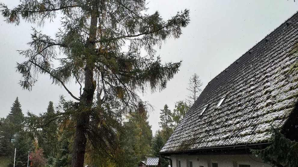 Foto od vás - Stara Lesna.