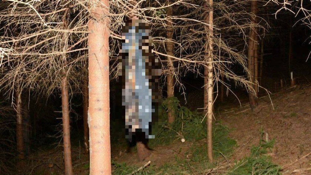 Reštaurácia Mediamatic v Holandsku