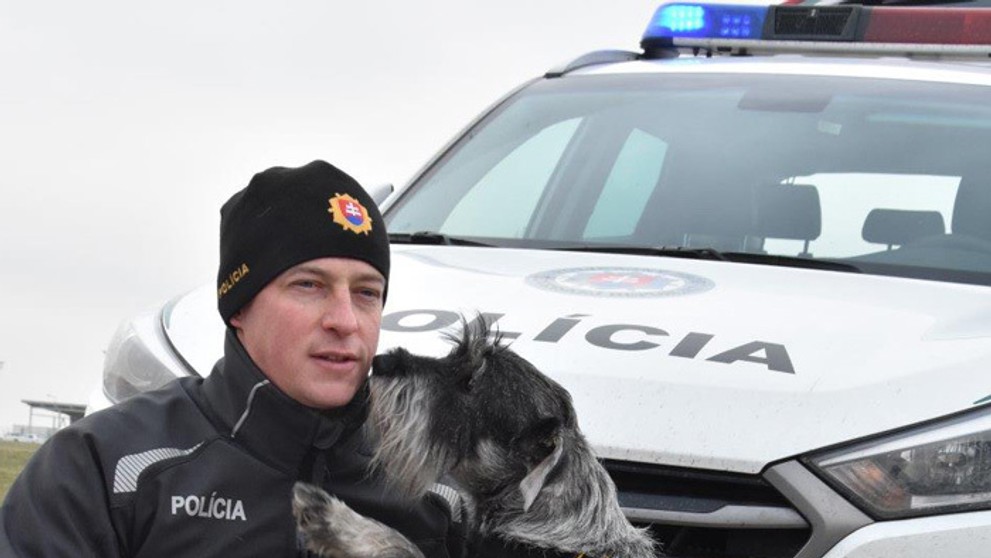 Rita Ora so svojim psovodom.