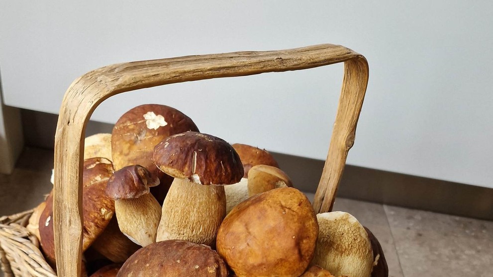 Zo Sniny máme aj druhý dôkaz - plný košík dubákov Jozefa Burdu.