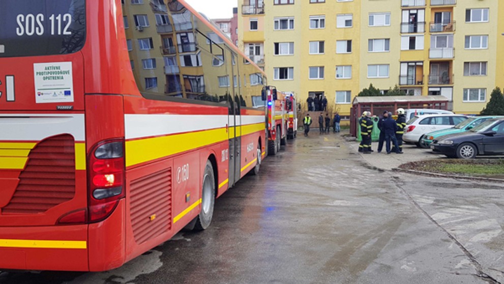 Pes, ktorý kradol hračky na policajnej stanici v meste Franklin.
