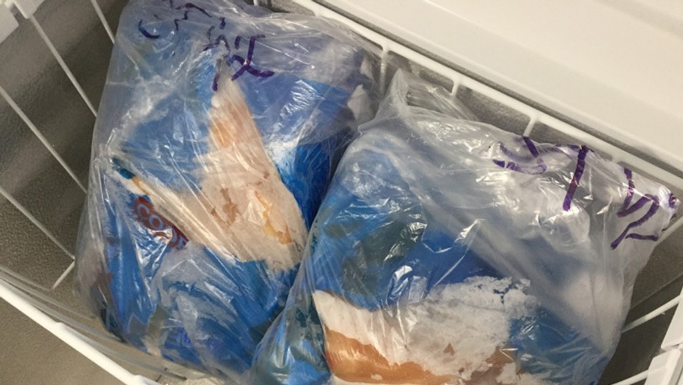 Mrazené vzorky mäsa.