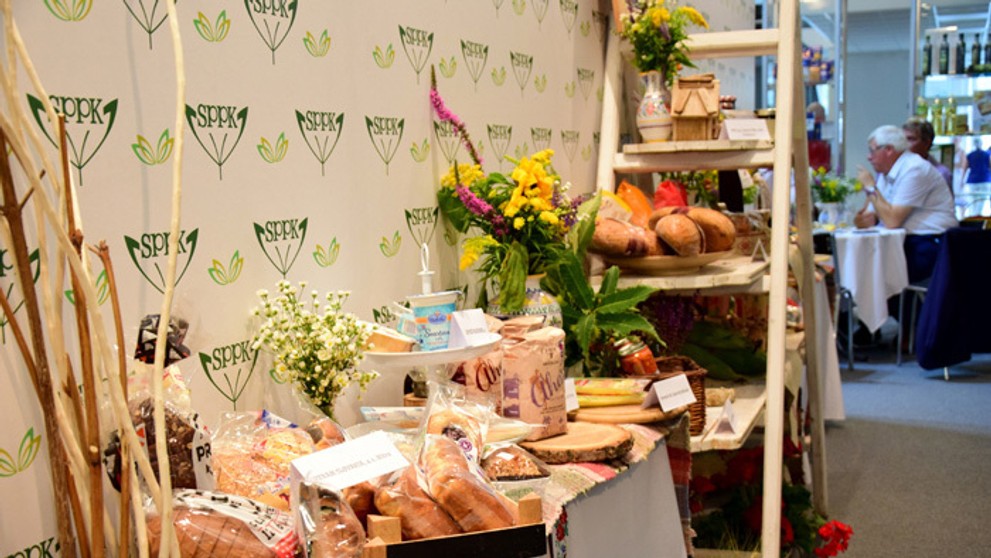 Ilustračná snímka