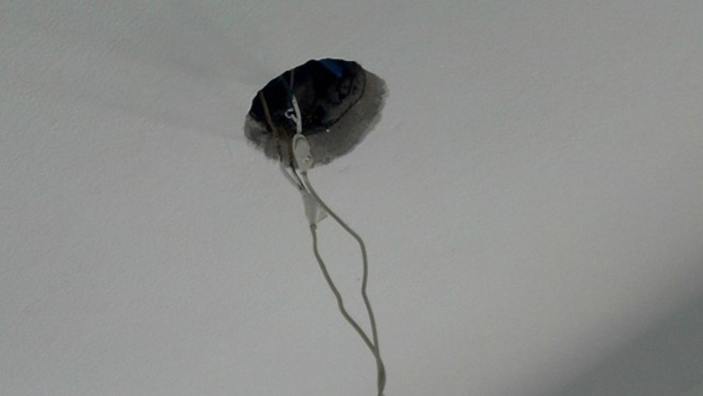 Hniezdo plné pavúkov